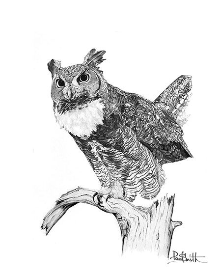 Great Horned Owl